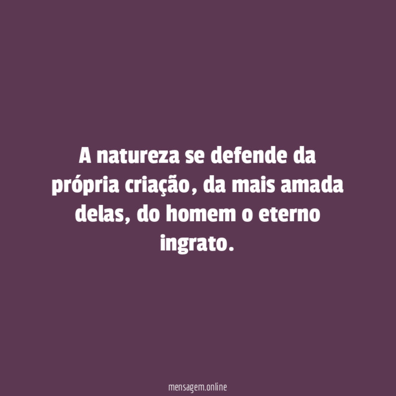 A natureza se defende da própria criação