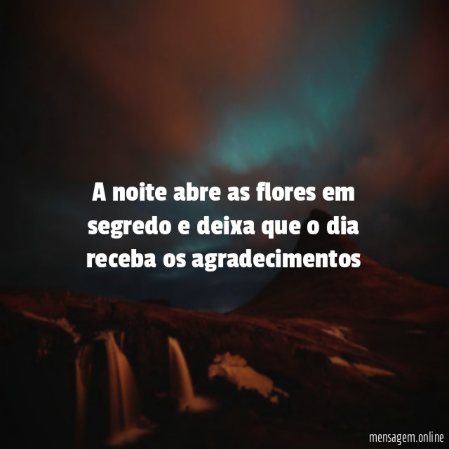 A noite abre as flores em segredo e