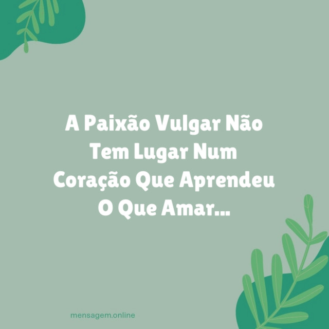 A Paixão Vulgar Não Tem Lugar Num Coração