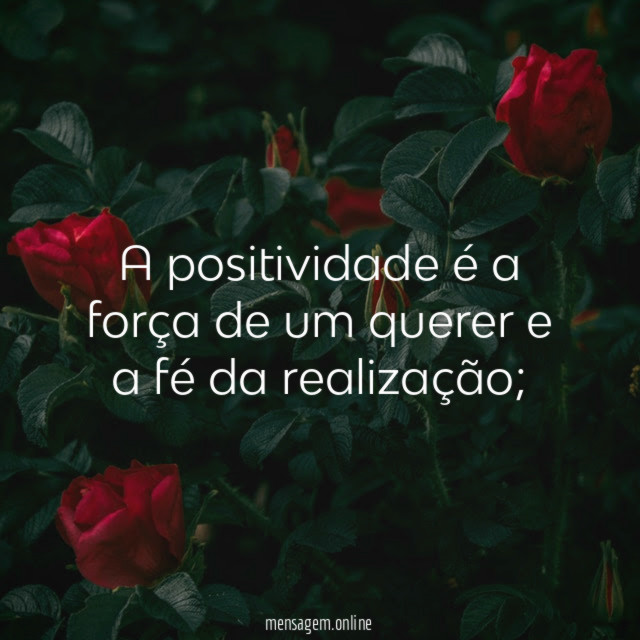 A positividade é a força de um querer