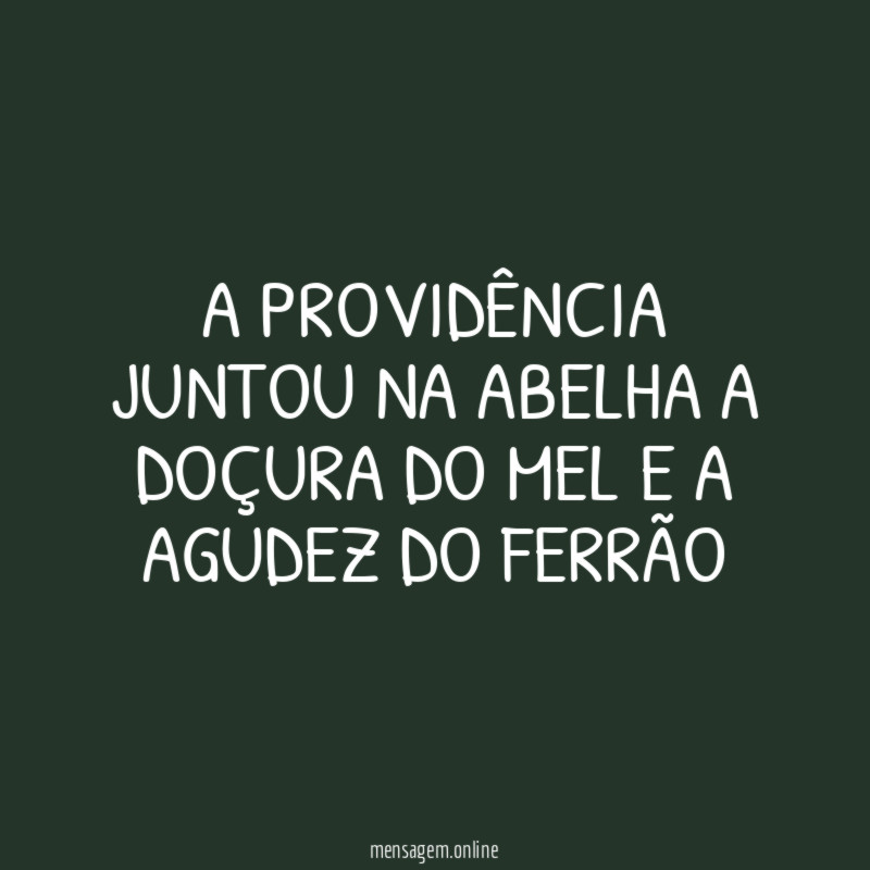 A Providência juntou na abelha a doçura do