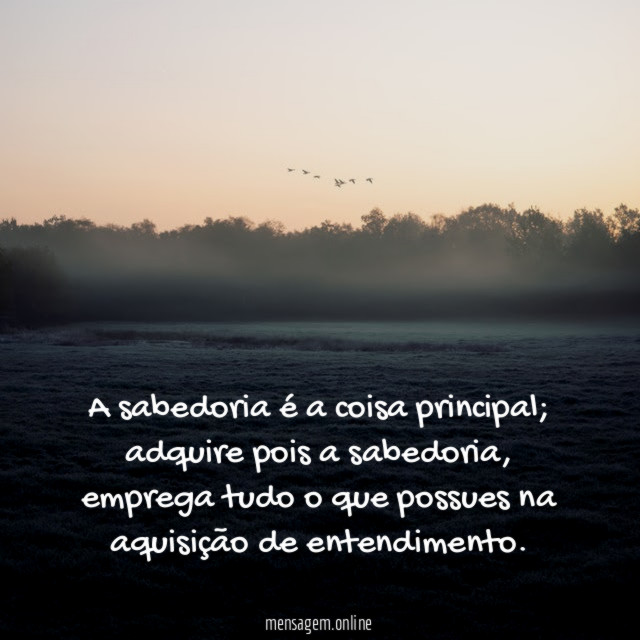 A sabedoria é a coisa principal
