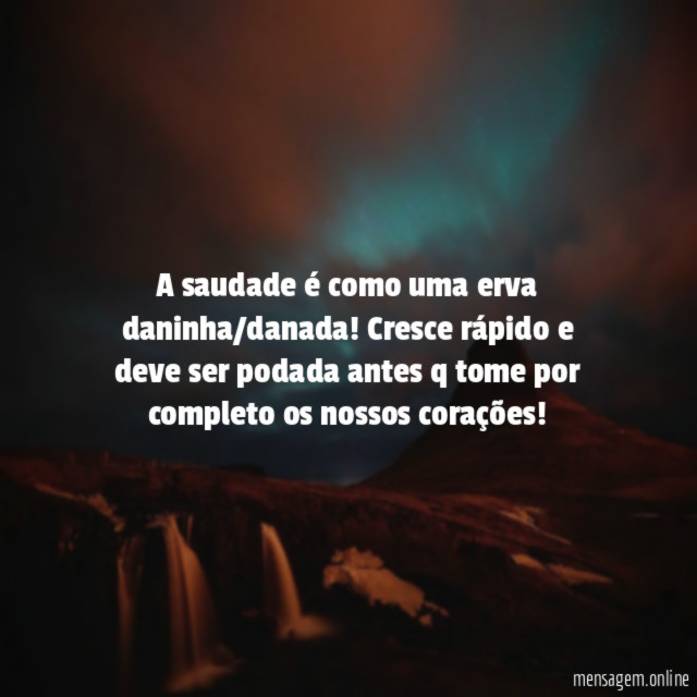A saudade é como uma erva daninha/danada