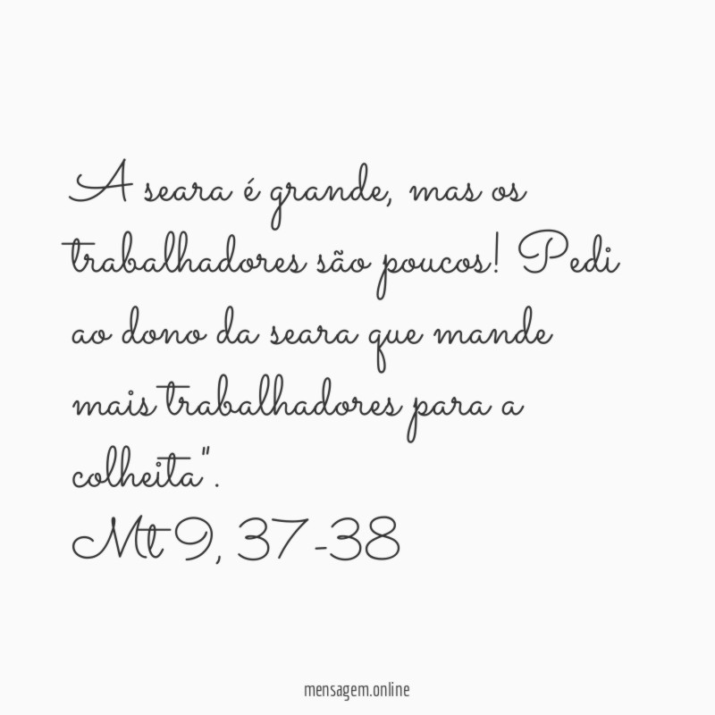 "A seara é grande, mas os trabalhadores são poucos! Pedi ao dono da seara que mande mais trabalhadores para a colheita".