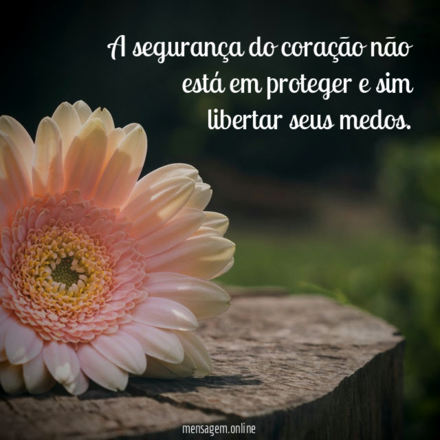 A segurança do coração não está em proteger