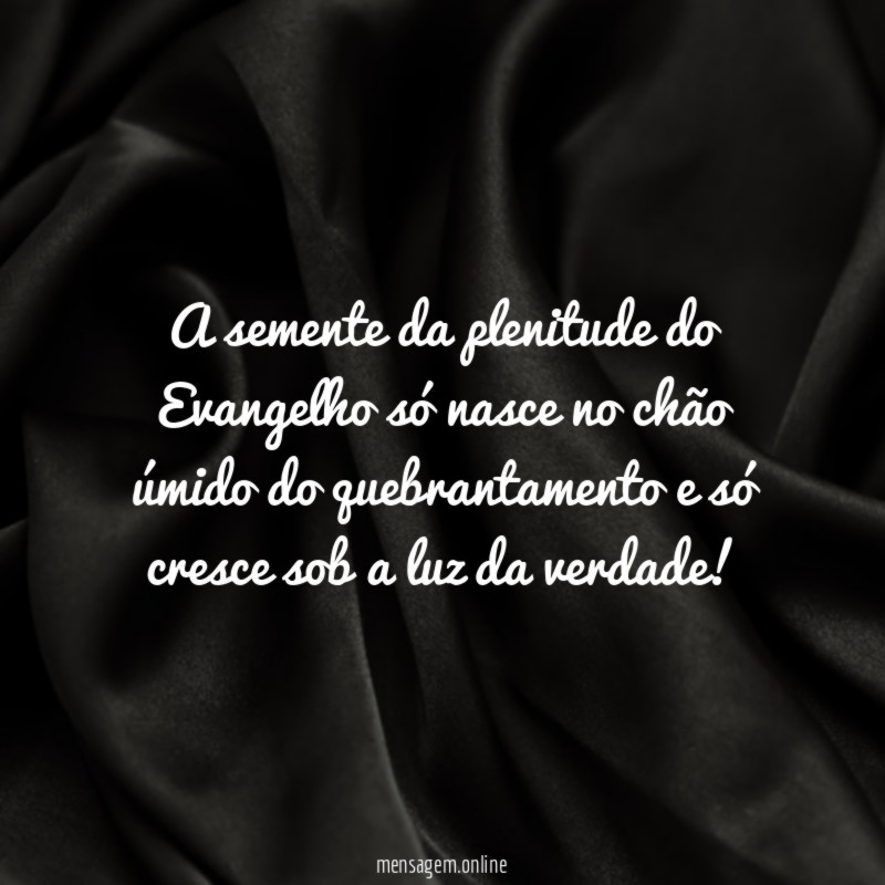 A semente da plenitude do Evangelho só nasce
