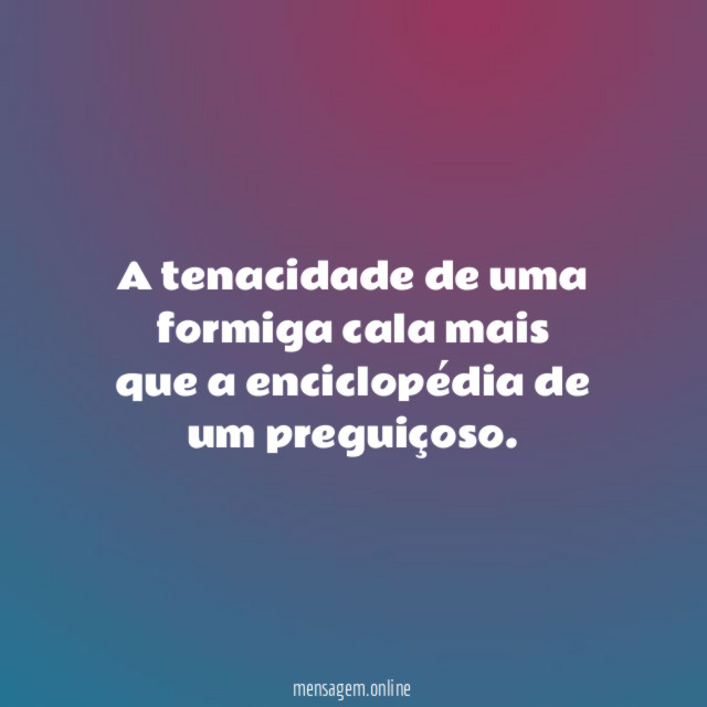 A tenacidade de uma formiga cala mais que
