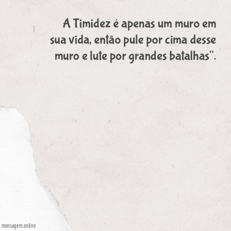 A Timidez é apenas um muro em sua vida