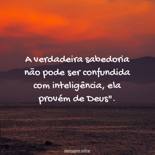 A verdadeira sabedoria não pode ser confundida com inteligência