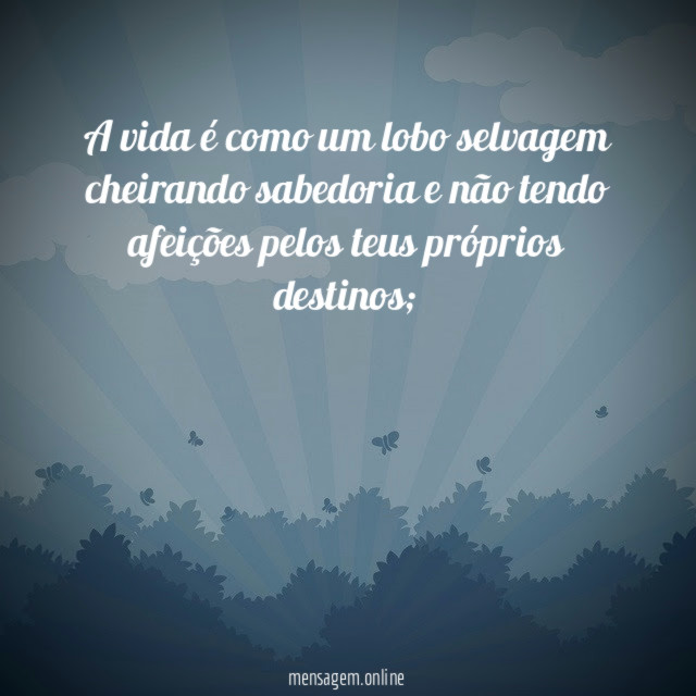 A vida é como um lobo selvagem cheirando