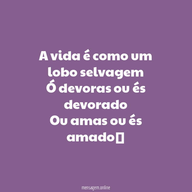 A vida é como um lobo selvagem Ó devoras