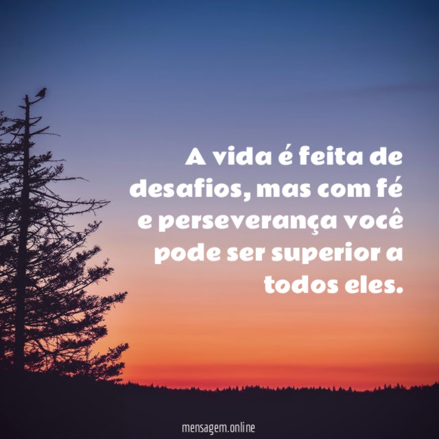 A vida é feita de desafios