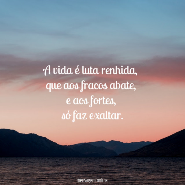 A vida é luta renhida