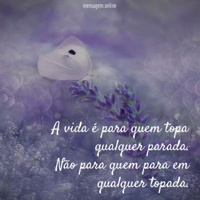A vida é para quem topa qualquer parada