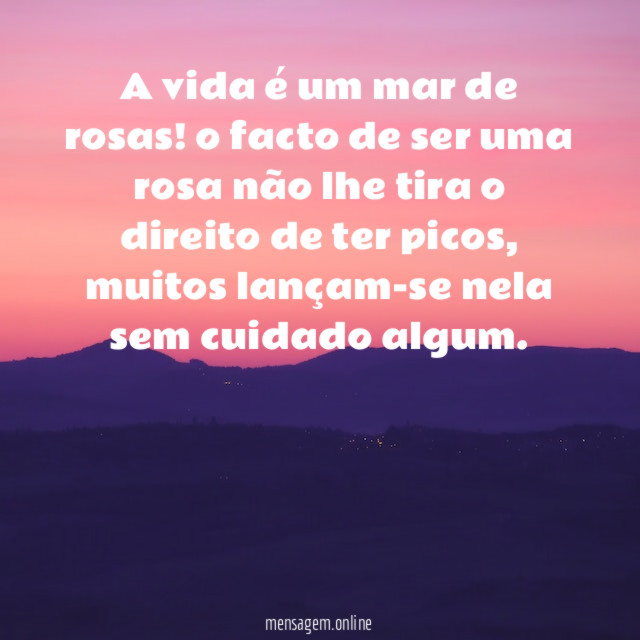a vida é um mar de rosas