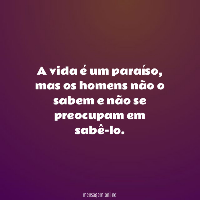 A vida é um paraíso
