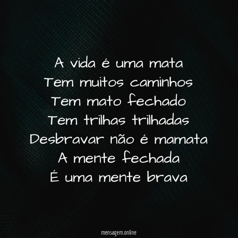 A vida é uma mata Tem muitos caminhos Tem mato