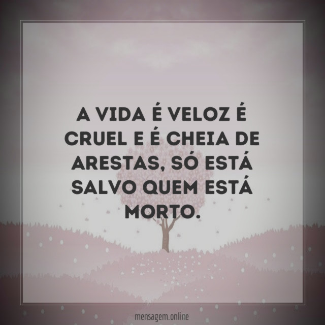 A vida é veloz é cruel e é cheia de arestas
