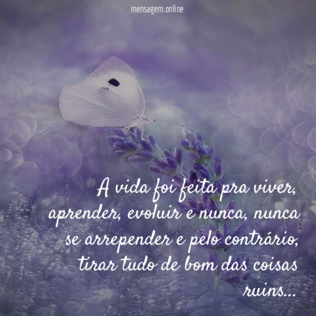 A vida foi feita pra viver