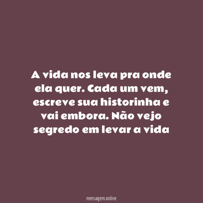 A vida nos leva pra onde ela quer
