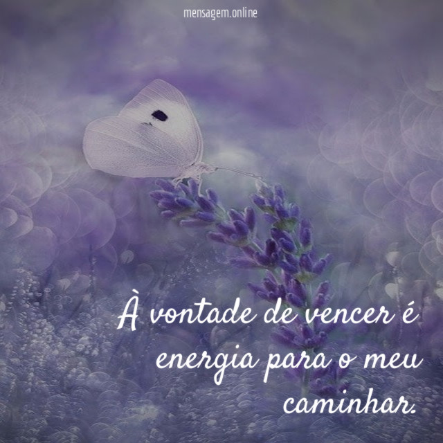 À vontade de vencer é energia para o meu caminhar