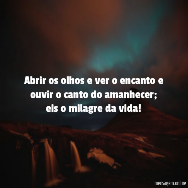 Abrir os olhos e ver o encanto