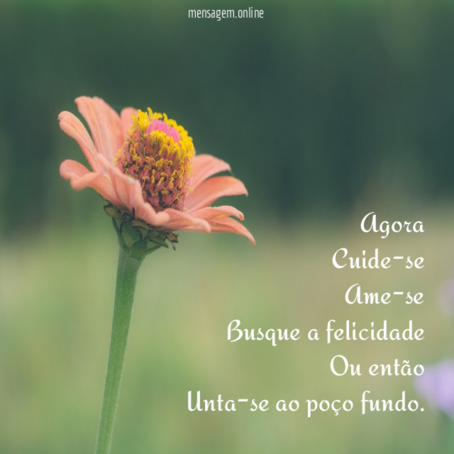 Agora Cuide-se Ame-se Busque a felicidade Ou então Unta-se ao poço fundo