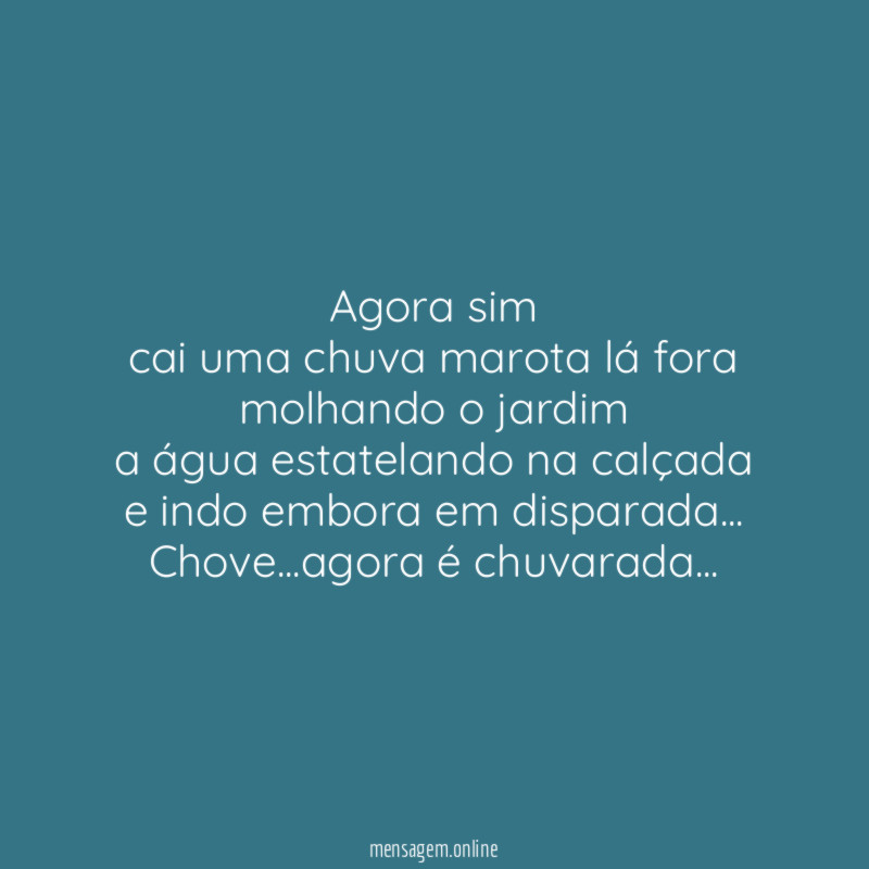 Agora sim
cai uma chuva marota lá fora
molhando o jardim
a água estatelando na calçada
e indo embora em disparada…
Chove…agora é chuvarada…