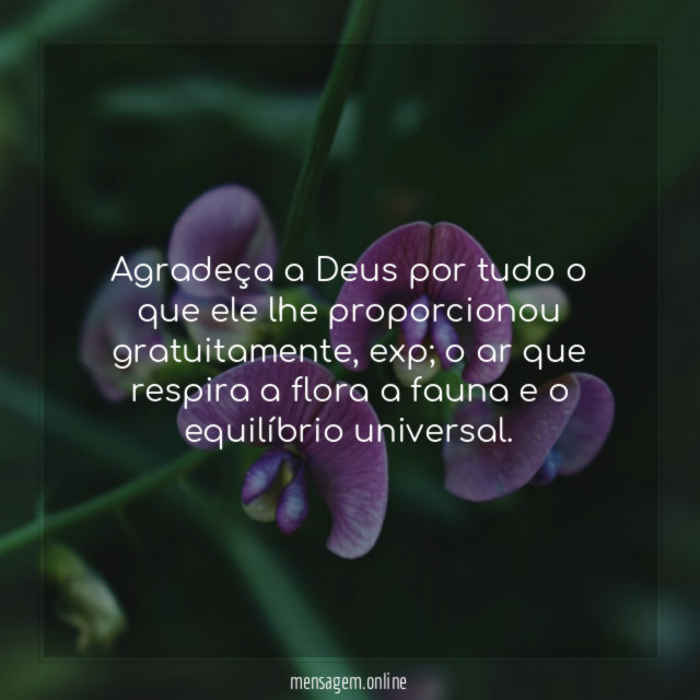 Agradeça a Deus por tudo o que ele lhe proporcionou gratuitamente