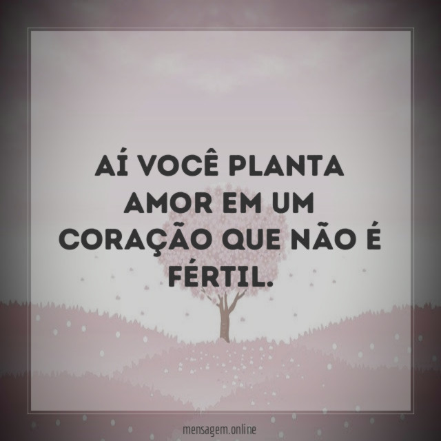 Aí você planta amor em um coração que