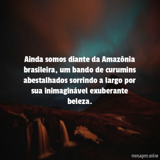 Ainda somos diante da Amazônia brasileira