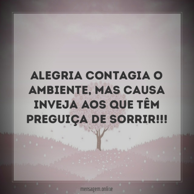 Alegria contagia o ambiente