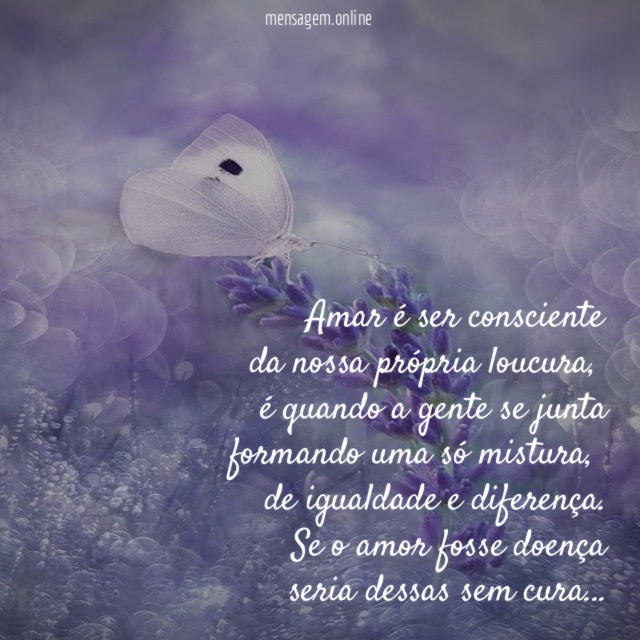 Amar é ser consciente da nossa própria loucura