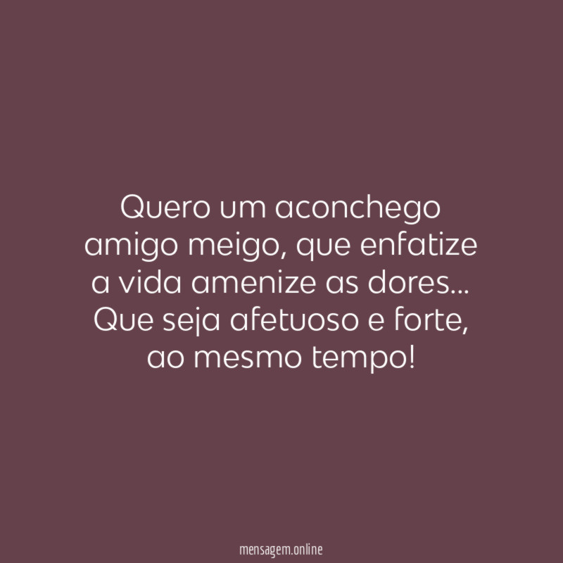 Amigo meigo