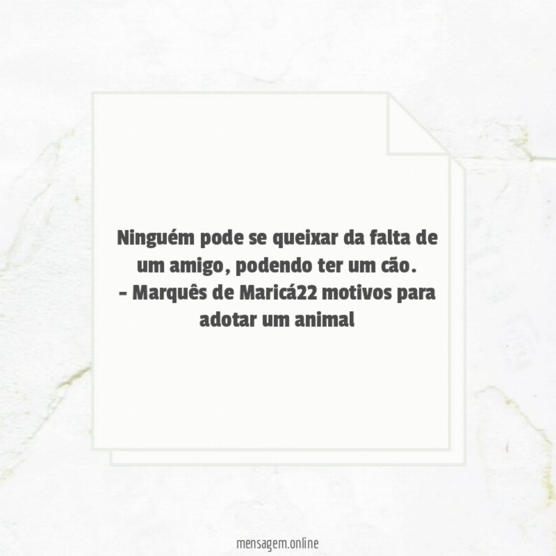 Amigo