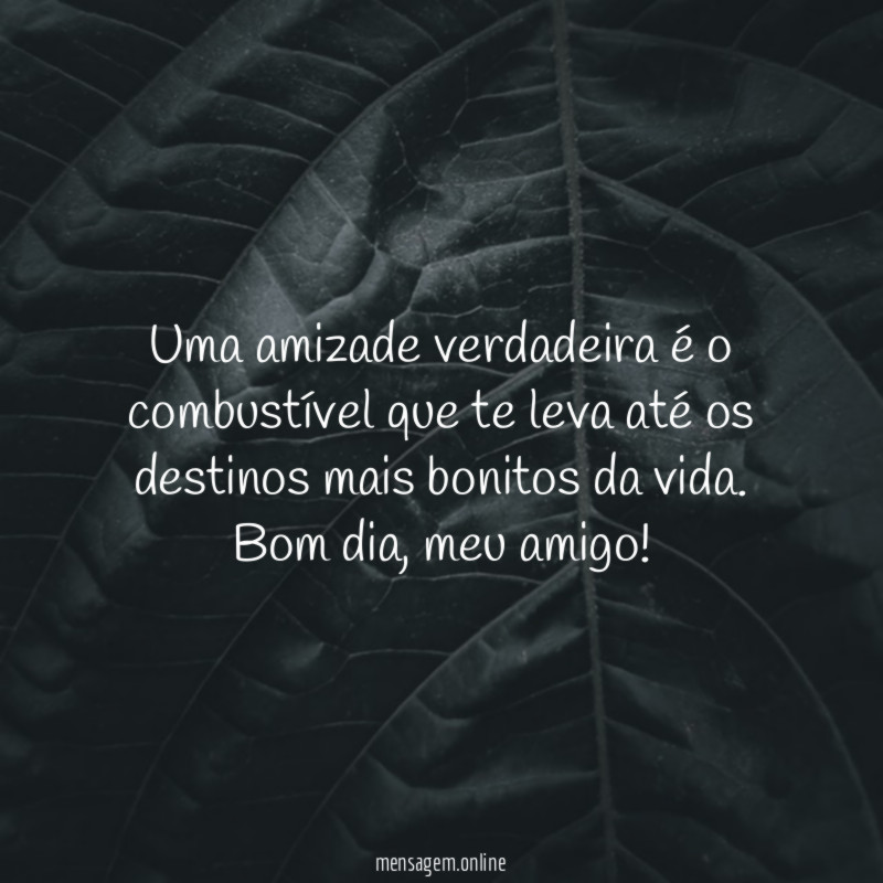 Amizade verdadeira