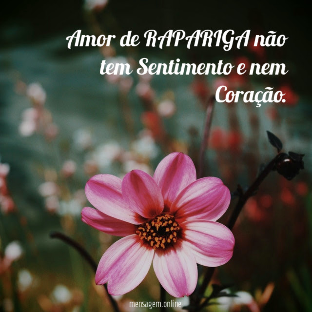 Amor de RAPARIGA não tem Sentimento e nem Coração