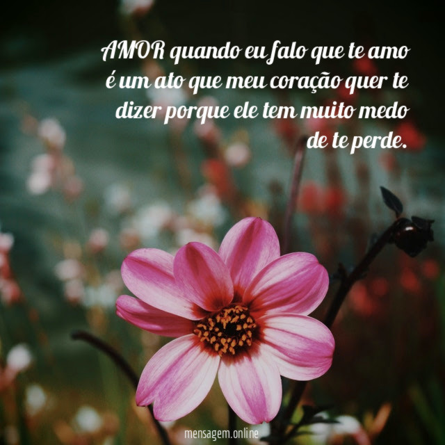 AMOR quando eu falo que te amo é