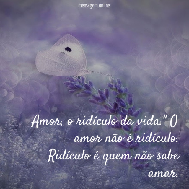 Amor
