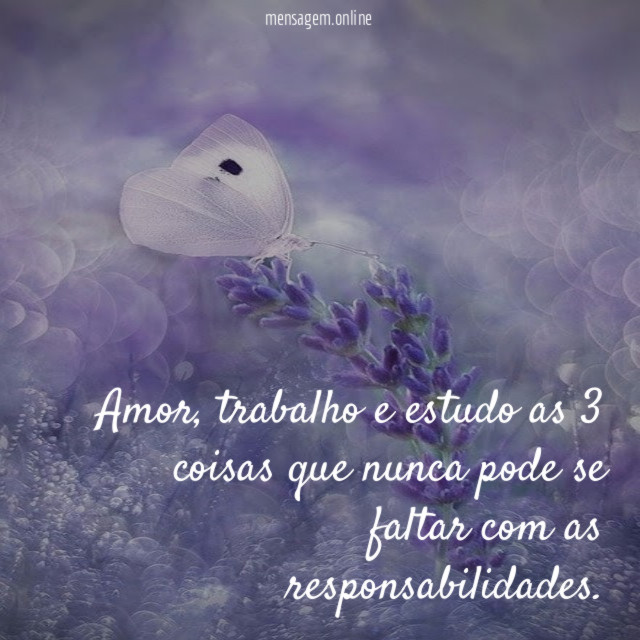 Amor
