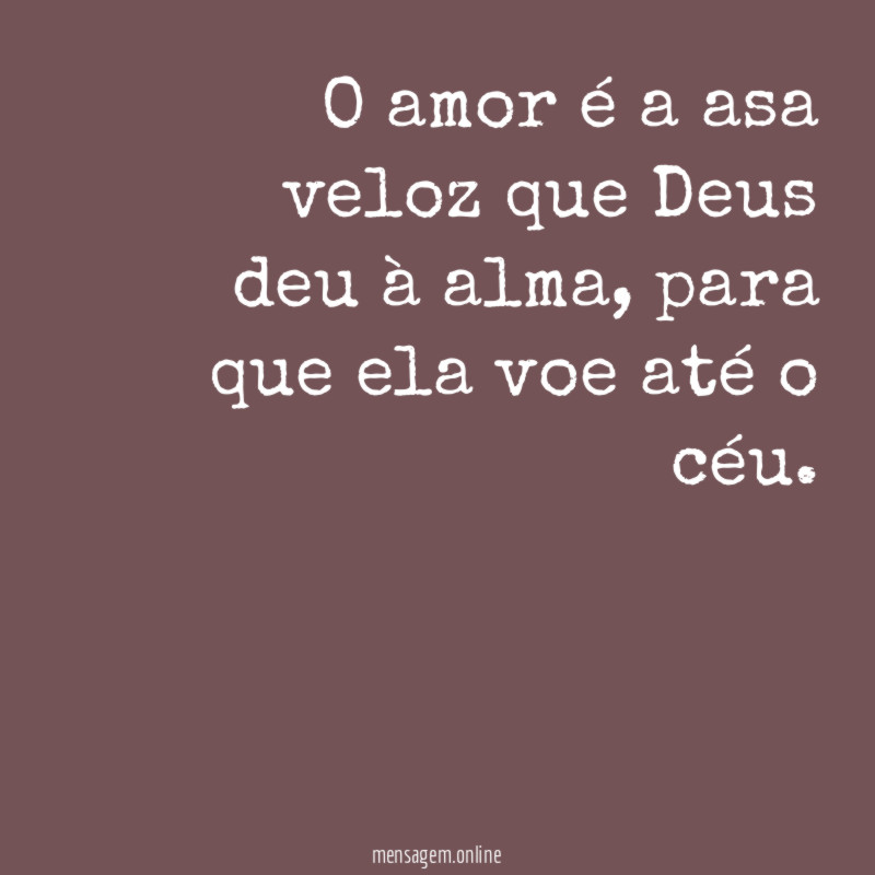 Amor