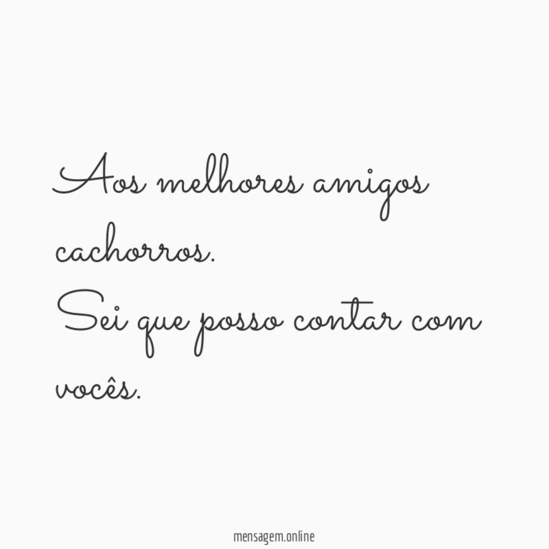 Aos melhores amigos cachorros