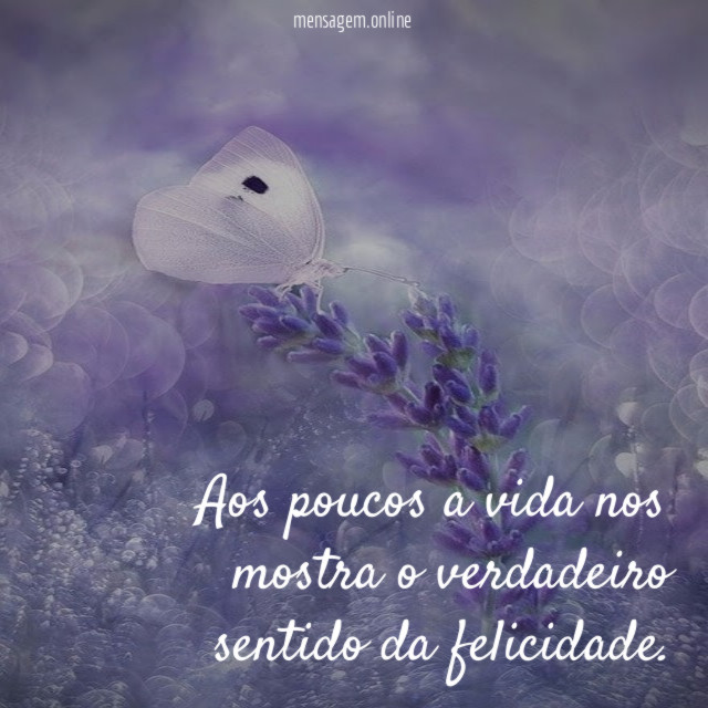 Aos poucos a vida nos mostra o verdadeiro sentido da felicidade