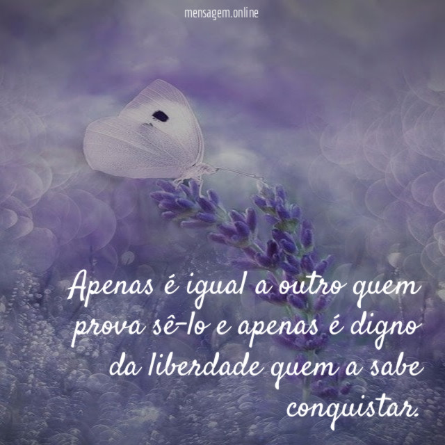 Apenas é igual a outro quem prova sê-lo