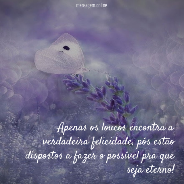 Apenas os loucos encontra a verdadeira felicidade