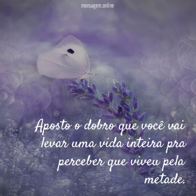 Aposto o dobro que você vai levar uma
