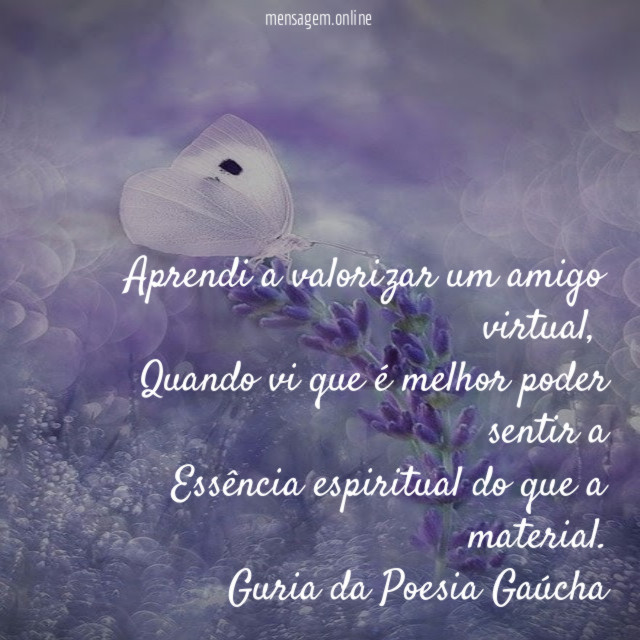 Aprendi a valorizar um amigo virtual