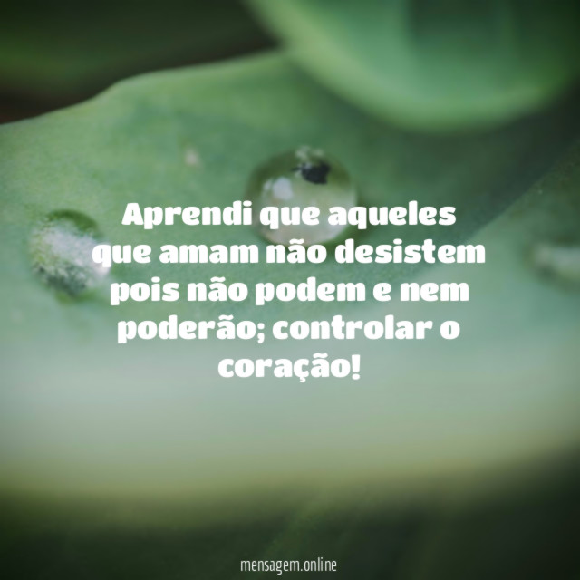Aprendi que aqueles que amam não desistem pois