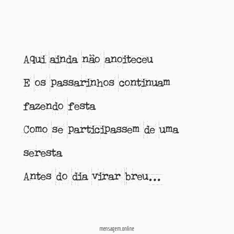 Aqui ainda não anoiteceu
E os passarinhos continuam fazendo festa
Como se participassem de uma seresta
Antes do dia virar breu…