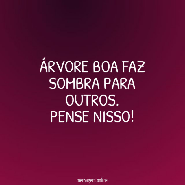ÁRVORE BOA FAZ SOMBRA PARA OUTROS